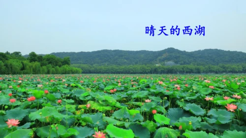第17课 《古诗三首》 望天门山  课件