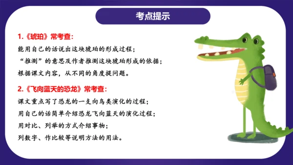统编版四年级语文下学期期中核心考点集训第二单元（复习课件）