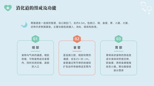 彩色水彩简约插画肠内营养的护理企业培训PPT全民营养周