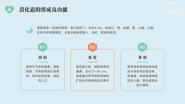 彩色水彩简约插画肠内营养的护理企业培训PPT全民营养周