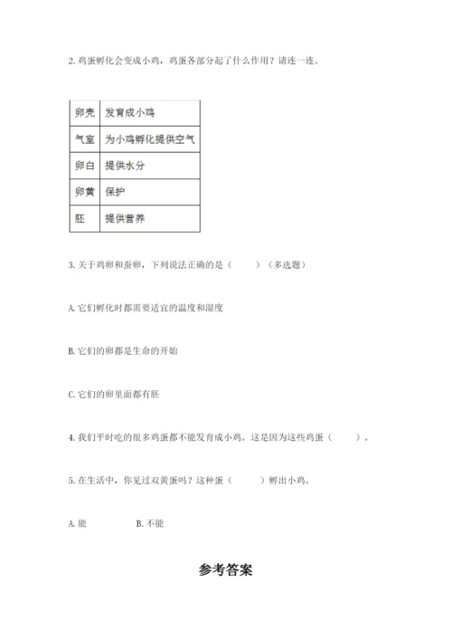 教科版科学三年级下册期末测试卷精品【突破训练】.docx