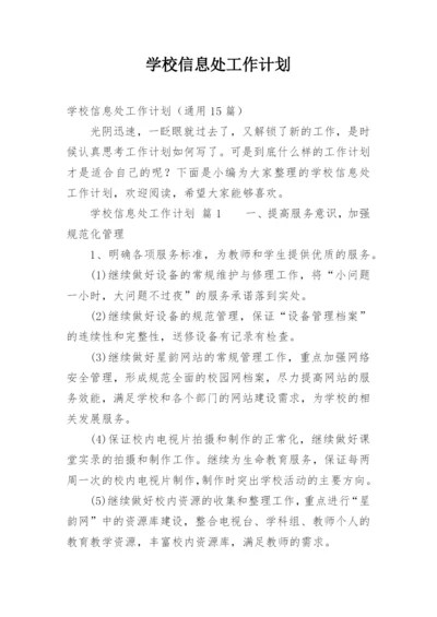 学校信息处工作计划.docx