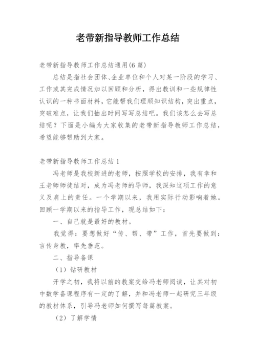 老带新指导教师工作总结.docx