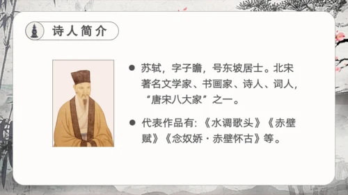 17古诗三首饮湖上初晴后雨 课件