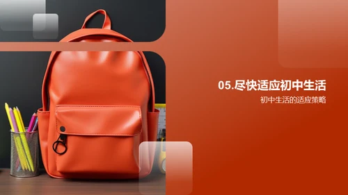 初中生活启航指南