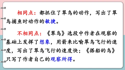 第15课《搭船的鸟》（第二课时）课件