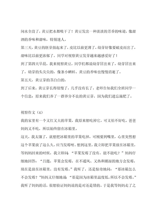 观察作文（精选6篇）作文