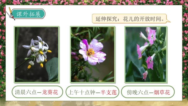 【核心素养】部编版语文三年级下册-13. 花钟 第2课时（课件）