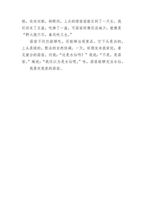 我家的新鲜事作文.docx