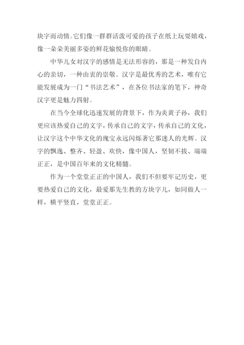 关于中国汉字的作文800字.docx