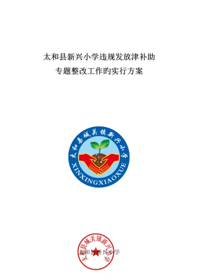 县新兴小学违规发放津补贴专项整治工作的实施方案.docx