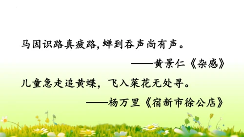 11.我是一只小虫子 课件