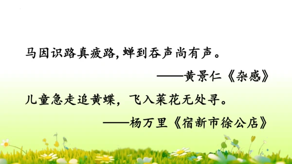11.我是一只小虫子 课件