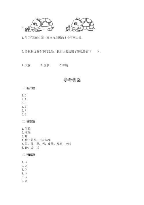 教科版科学二年级下册第二单元我们自己测试卷附参考答案考试直接用