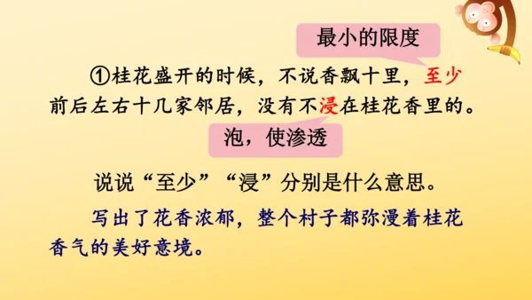 3 桂花雨   课件