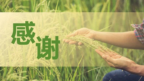简约实景农民丰收佳节工作汇报PPT模板