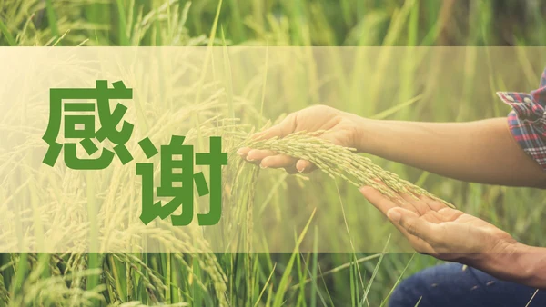 简约实景农民丰收佳节工作汇报PPT模板