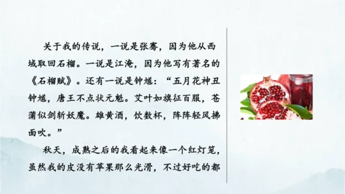 统编版语文八年级下册第二单元写作《说明的顺序》课件(共49张PPT)