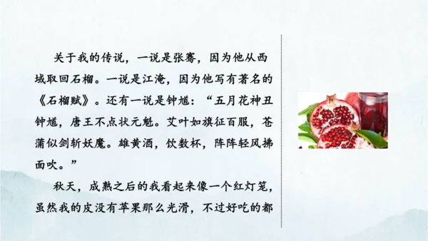 统编版语文八年级下册第二单元写作《说明的顺序》课件(共49张PPT)