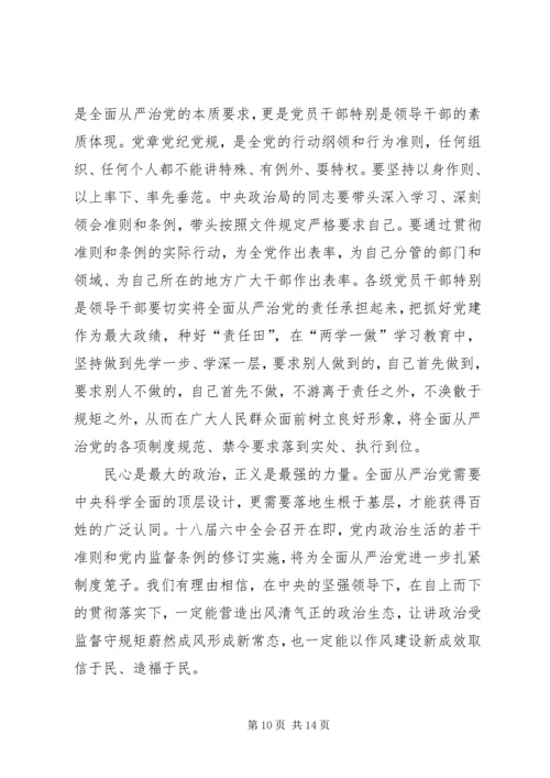 党员个人讲政治重规矩作表率专题心得体会.docx