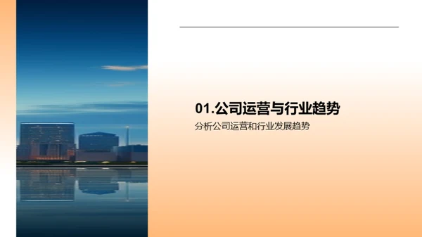 公司年度回顾与展望