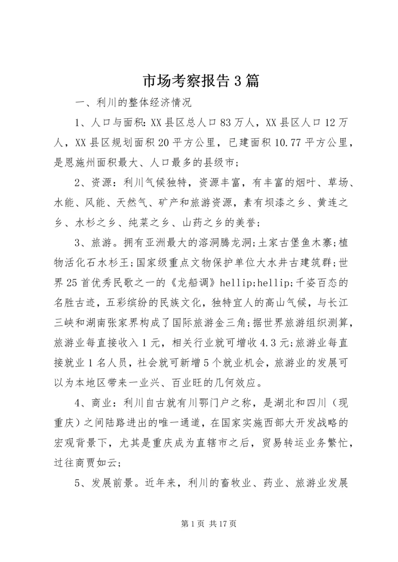市场考察报告3篇.docx