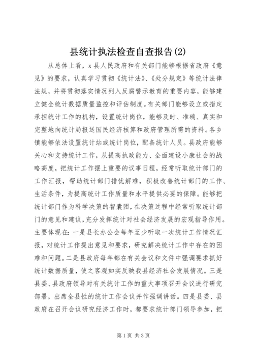 县统计执法检查自查报告(2).docx