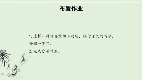 第15课《小虾》（教学课件）