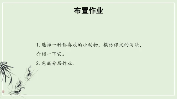 第15课《小虾》（教学课件）