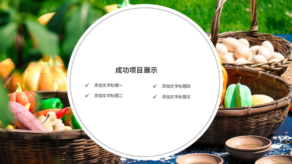 果蔬农产品工作总结农户农业通用PPT模板