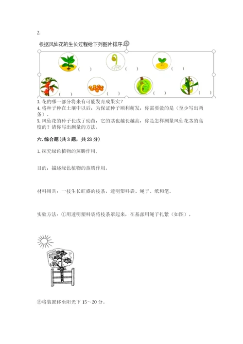 科学四年级下册第一单元植物的生长变化测试卷及参考答案（满分必刷）.docx