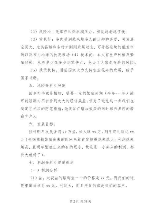 多肉公司建立方案.docx