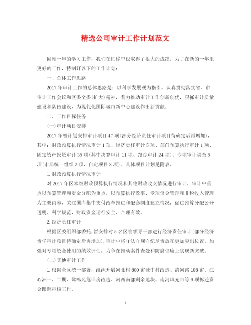 精编之精选公司审计工作计划范文.docx