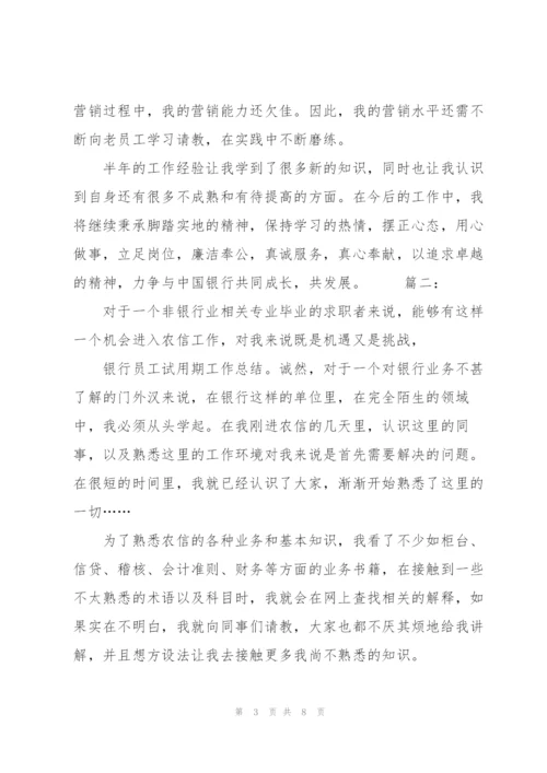 银行试用期转正工作总结三篇.docx