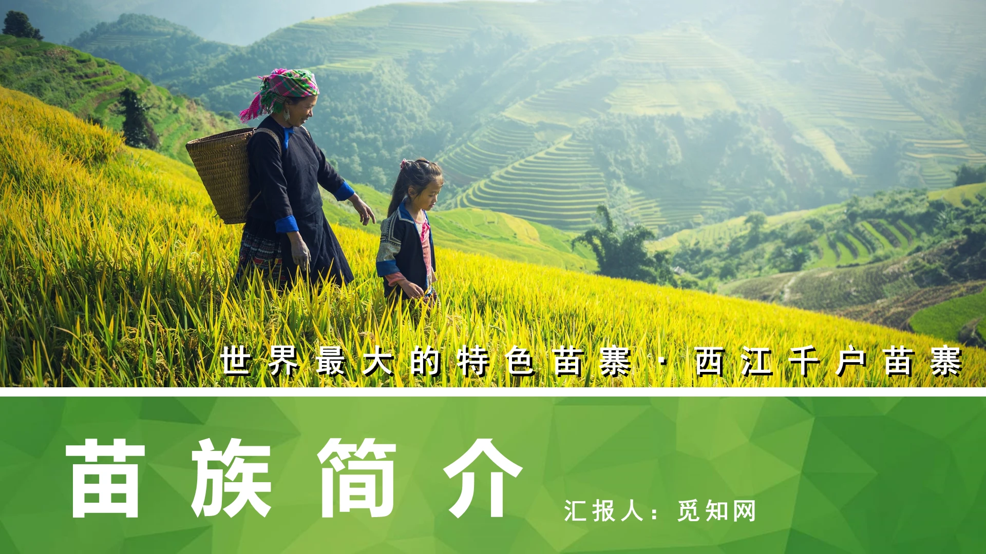 绿色苗族文化介绍PPT苗族ppt