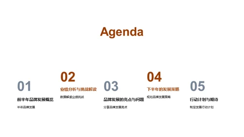 20XX品牌半年回顾