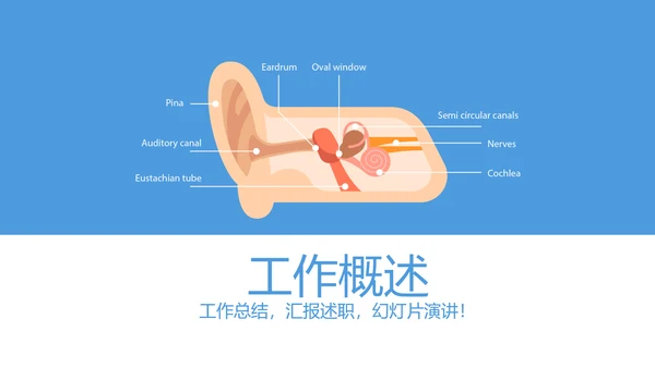 耳科进修学习工作汇报动态PPT