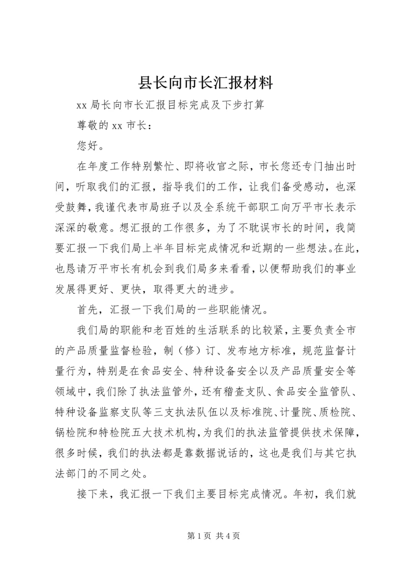 县长向市长汇报材料 (6).docx