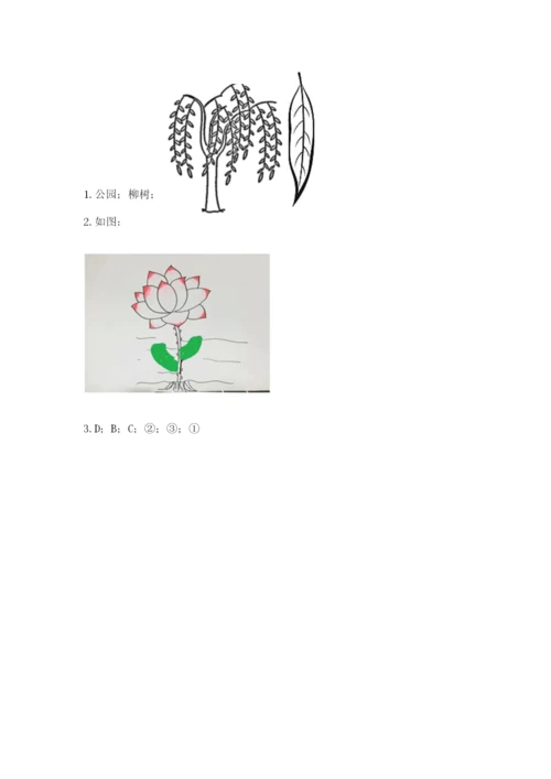 教科版科学一年级上册第一单元《植物》测试卷带答案（能力提升）.docx