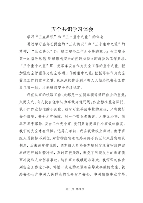 五个共识学习体会.docx