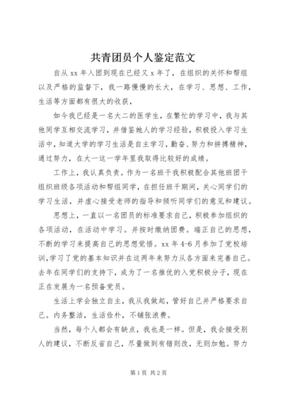 共青团员个人鉴定范文.docx