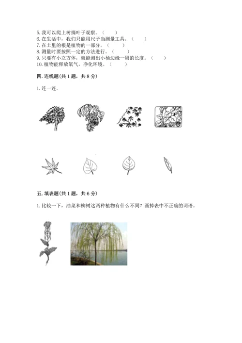 教科版一年级上册科学期末测试卷及参考答案【培优a卷】.docx
