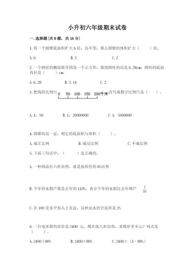 小升初六年级期末试卷(典优).docx