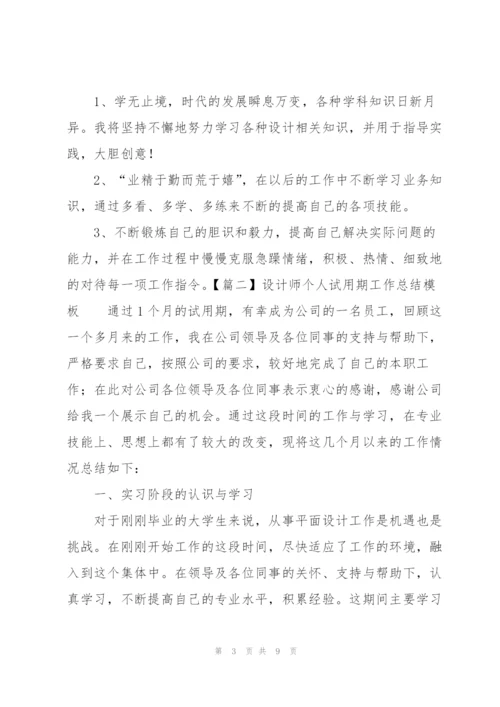设计师个人试用期工作总结模板.docx