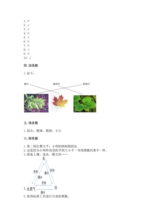 教科版一年级上册科学期末测试卷精品【达标题】.docx