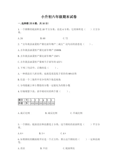 小升初六年级期末试卷【考点精练】.docx