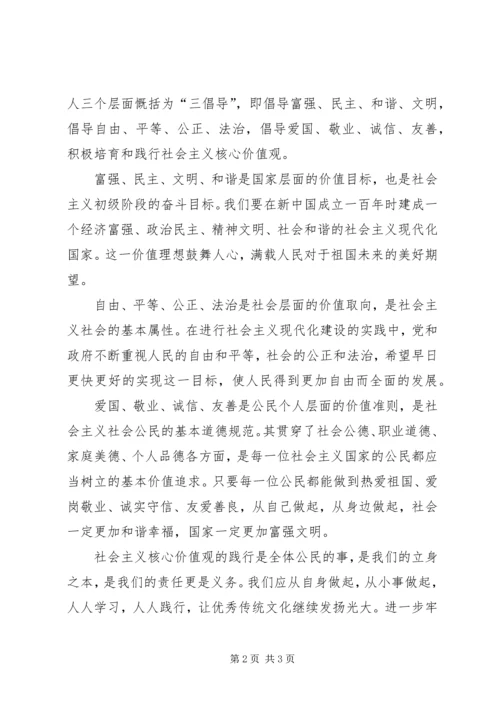 对践行社会主义核心价值观心得体会.docx