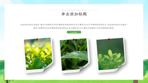 绿色环保生态环境城市绿化工作总结汇报ppt