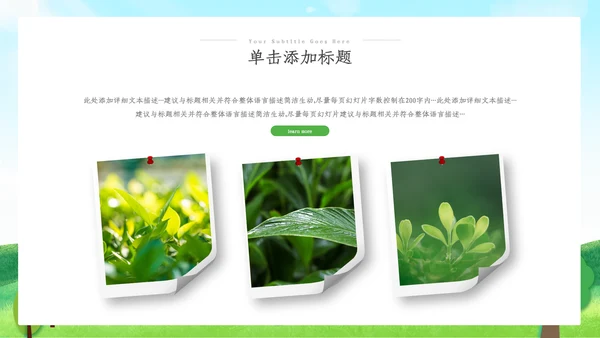 绿色环保生态环境城市绿化工作总结汇报ppt