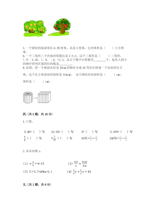 北师大版小升初数学模拟试卷（精练）.docx